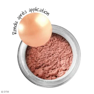 Graine Créative Feuille à Dorer Poudre Effet Métallique – Rose Opale – 6 G magasin pas cher 7